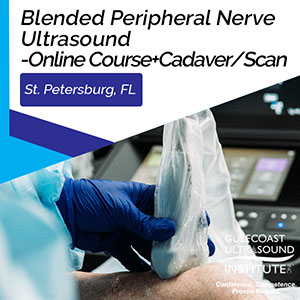 Blended Peripheral Nerve Ultrasound with Interventional Human Cadaver Lab